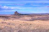 TBD Muleshoe Road - Photo 17