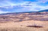 TBD Muleshoe Road - Photo 19