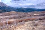 TBD Muleshoe Road - Photo 20