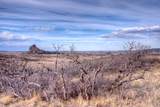 TBD Muleshoe Road - Photo 21