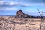 TBD Muleshoe Road - Photo 22