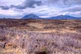 TBD Muleshoe Road - Photo 23