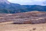 TBD Muleshoe Road - Photo 25