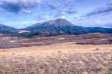 TBD Muleshoe Road - Photo 26