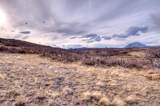 TBD Muleshoe Road - Photo 27