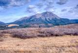 TBD Muleshoe Road - Photo 4