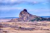 TBD Muleshoe Road - Photo 5
