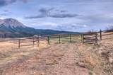 TBD Muleshoe Road - Photo 6