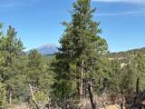 23142 County Rd 30.1 - Photo 37