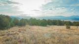  Co Rd 560 - Photo 12