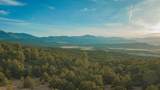  Co Rd 560 - Photo 14