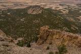  Co Rd 560 - Photo 24