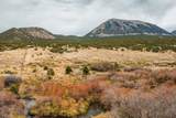  Co Rd 560 - Photo 32