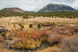  Co Rd 560 - Photo 33