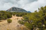  Co Rd 560 - Photo 39