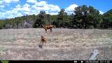  Co Rd 560 - Photo 4