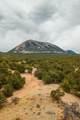  Co Rd 560 - Photo 40