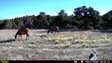  Co Rd 560 - Photo 5