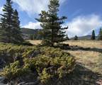 TBD Panadero Loop - Photo 5
