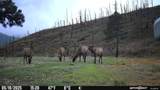 TBD Longhorn Road - Photo 6