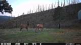TBD Longhorn Road - Photo 9