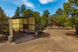 33161 Oak Park Drive - Photo 48