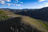 600 Acres - Photo 23