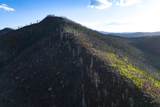 600 Acres - Photo 35