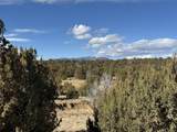 Lot 533 Rio Cucharas - Photo 1