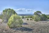 983 County Road 340 - Photo 40