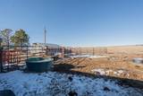 3538 County Road 110 - Photo 41