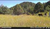17001 Peacock Rd - Photo 52