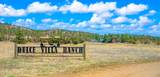 24030 County Road 43.6 - Photo 7