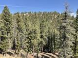 160 Acres San Pablo Canyon - Photo 6