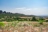 Lot 77 Tres Valles - Photo 42