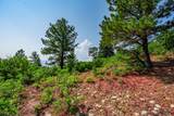 Lot 77 Tres Valles - Photo 44