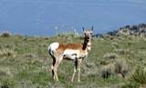 Lot 77 Tres Valles - Photo 45