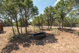 2308 Silver Spur Rd - Photo 43