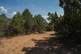 2308 Silver Spur Rd - Photo 45
