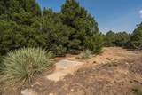 2308 Silver Spur Rd - Photo 46