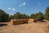 2308 Silver Spur Rd - Photo 47