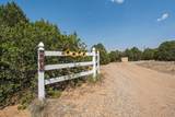 2308 Silver Spur Rd - Photo 48
