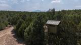 2308 Silver Spur Rd - Photo 50