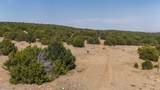 2308 Silver Spur Rd - Photo 52