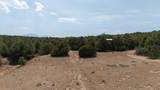 2308 Silver Spur Rd - Photo 53