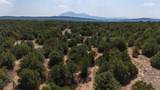 2308 Silver Spur Rd - Photo 54