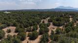 2308 Silver Spur Rd - Photo 55