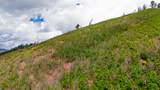 Lot 10 La Veta Acres - Photo 22