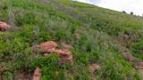 Lot 10 La Veta Acres - Photo 24