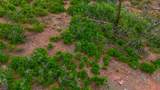 Lot 10 La Veta Acres - Photo 48